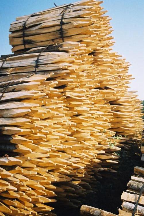 Génie Végétal Conseils et fournitures en bioingénierie Les Solutions